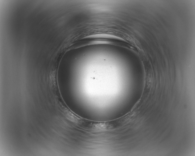 X0000071850473200607072306