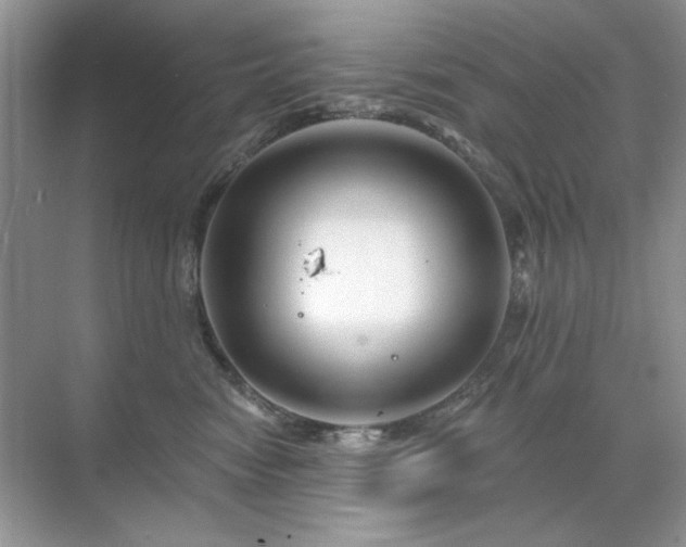 X0000071850474200607072306