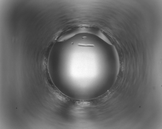 X0000071850476200607072306