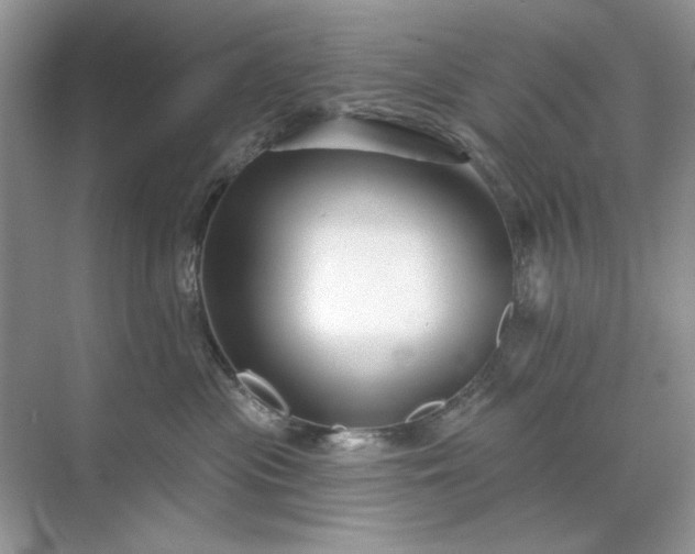 X0000071850477200607072306