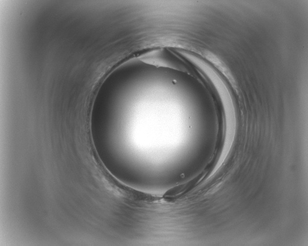 X0000071850481200607072305