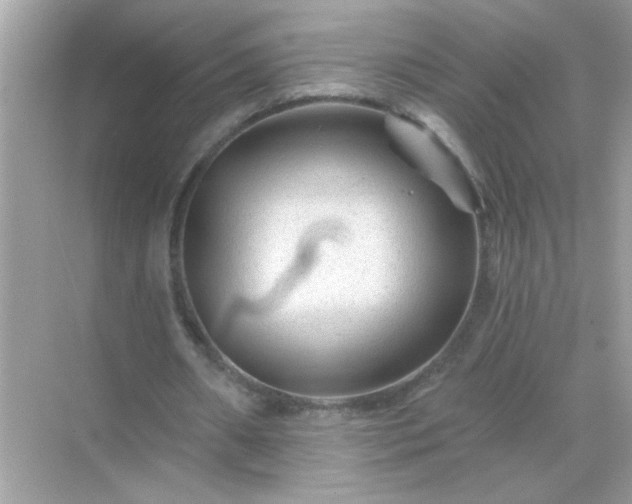 X0000071850482200607072305