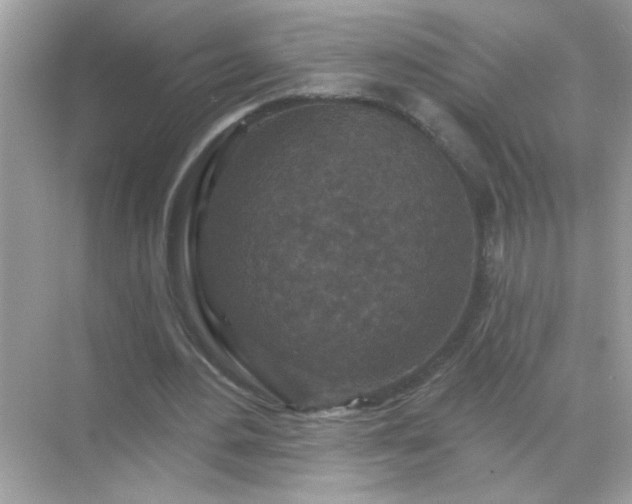 X0000071850484200607072305