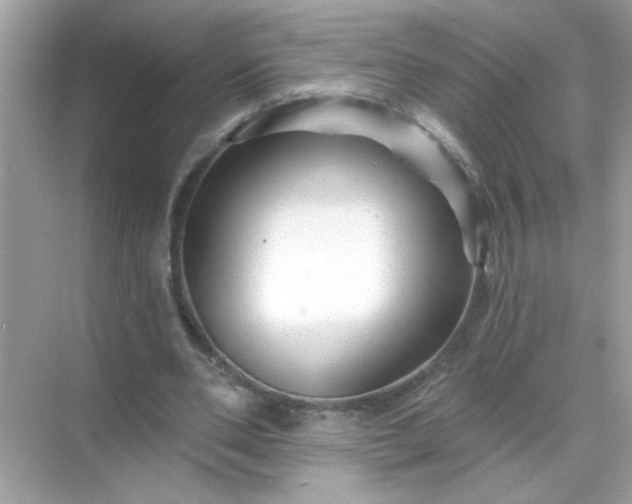 X0000071850486200607072305