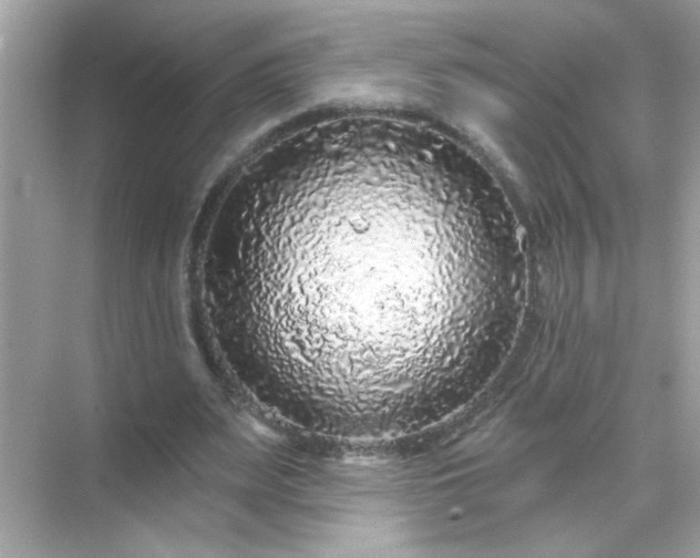 X0000071850487200607072305