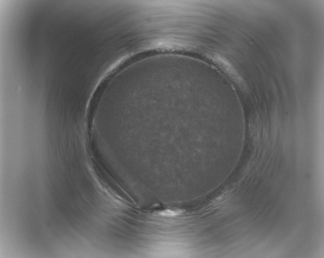 X0000071850488200607072305