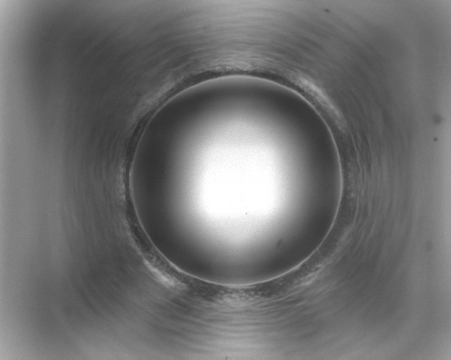 X0000071850489200607072305