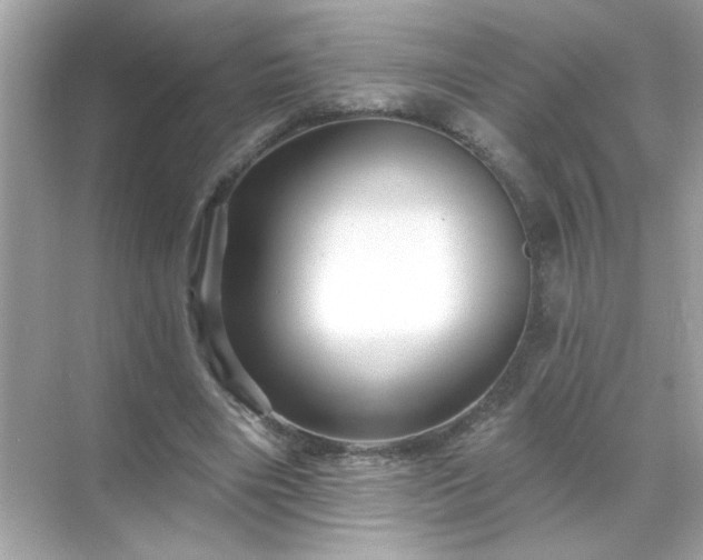 X0000071850490200607072305