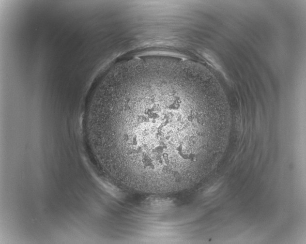 X0000071850491200607072305