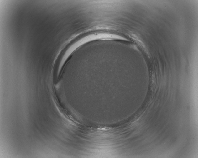 X0000071850492200607072305