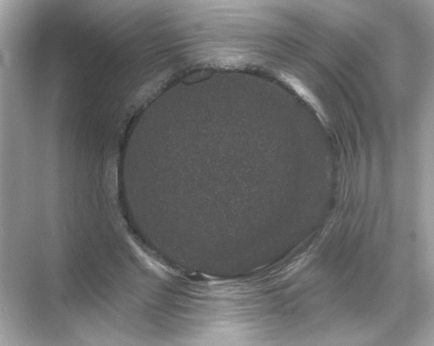 X0000071850493200607072305