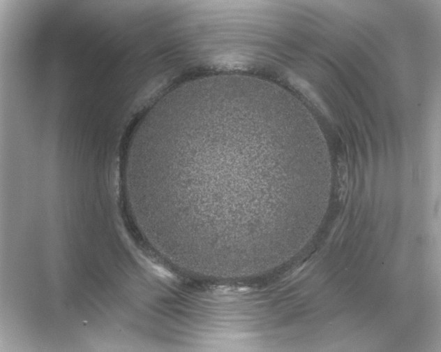 X0000071850494200607072305