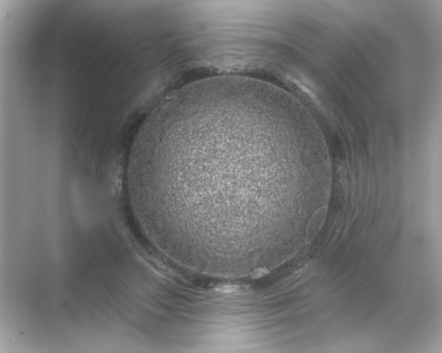 X0000071850499200607072305