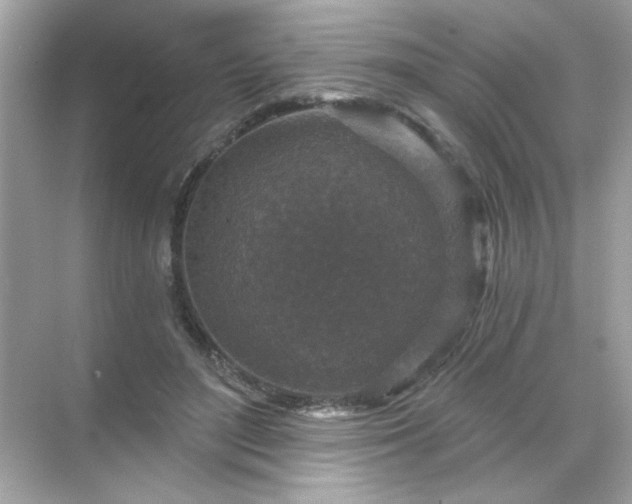 X0000071850500200607072305