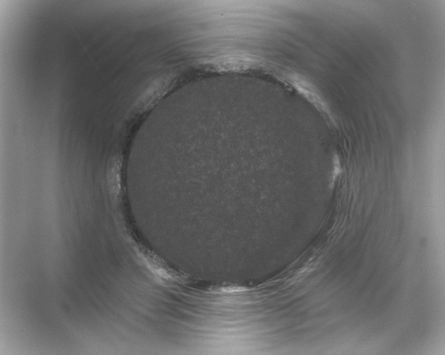 X0000071850501200607072305