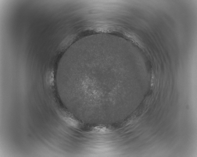 X0000071850502200607072305