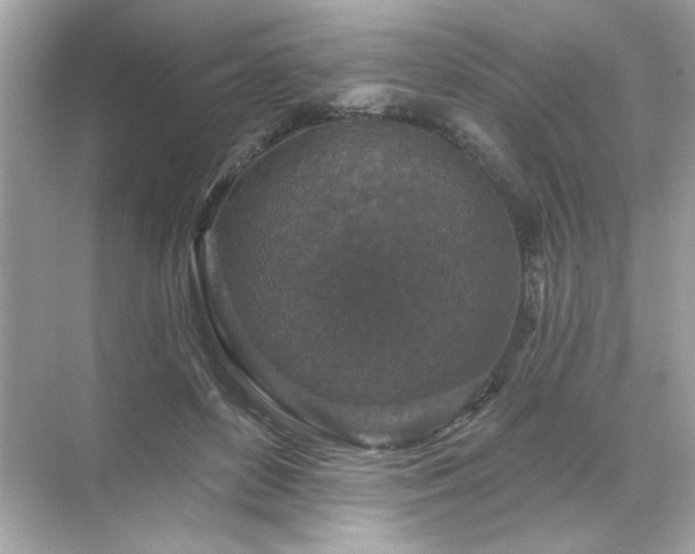 X0000071850504200607072305