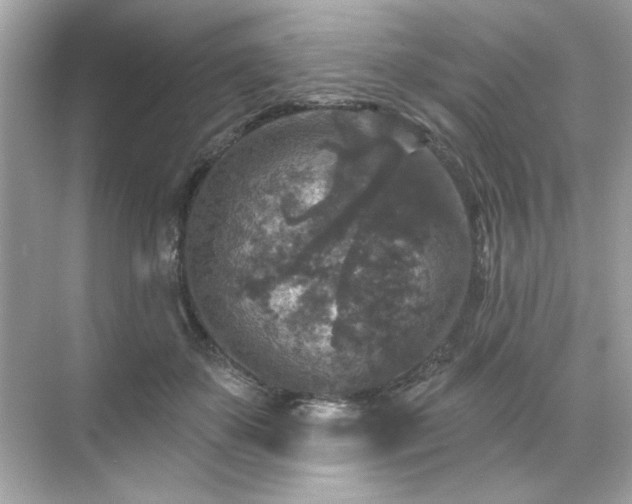 X0000071850507200607072305