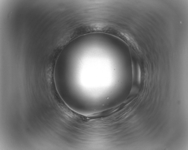 X0000071850509200607072305