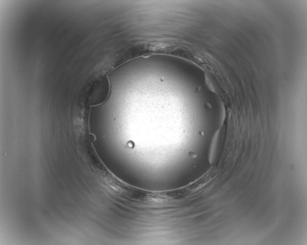 X0000071850510200607072305