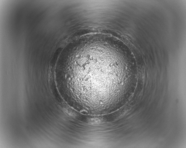 X0000071850511200607072305