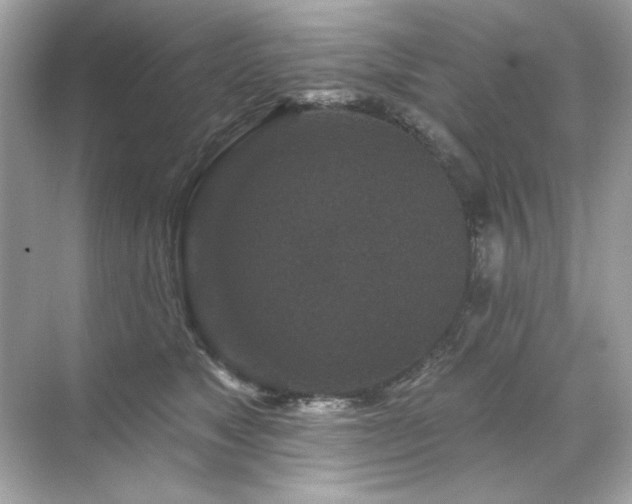 X0000071850517200607072305