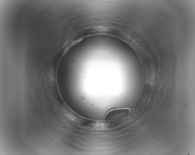 X0000071850518200607072305