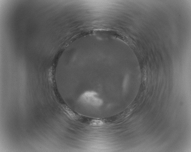 X0000071850519200607072305