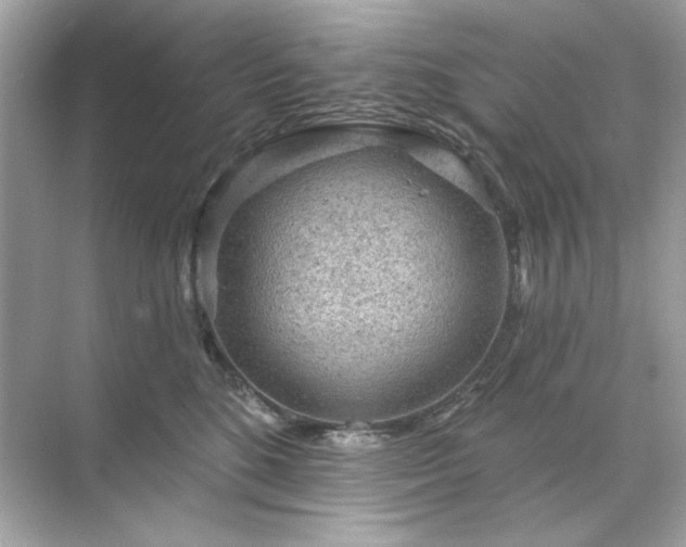 X0000071850520200607072305