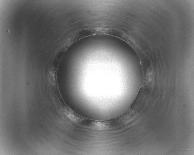 X0000071850522200607072305