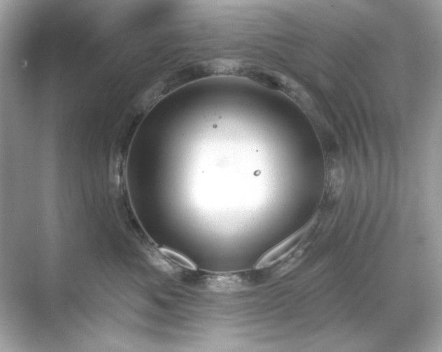 X0000071850525200607072304