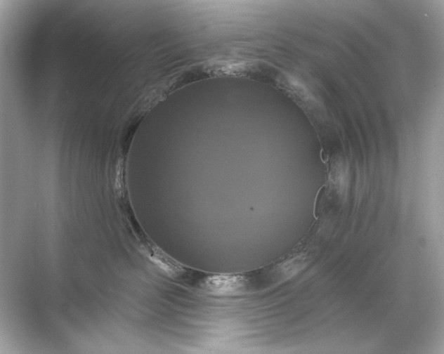 X0000071850526200607072304