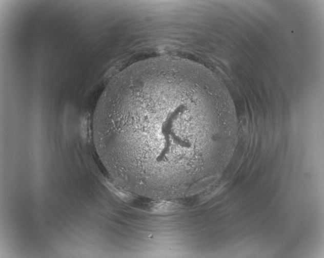 X0000071850527200607072304