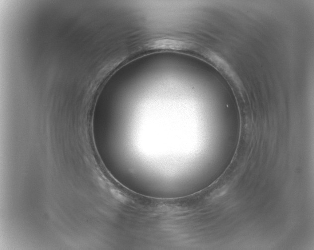 X0000071850529200607072304