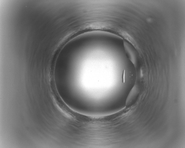 X0000071850530200607072304