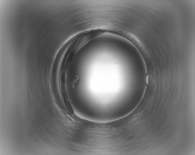 X0000071850532200607072304