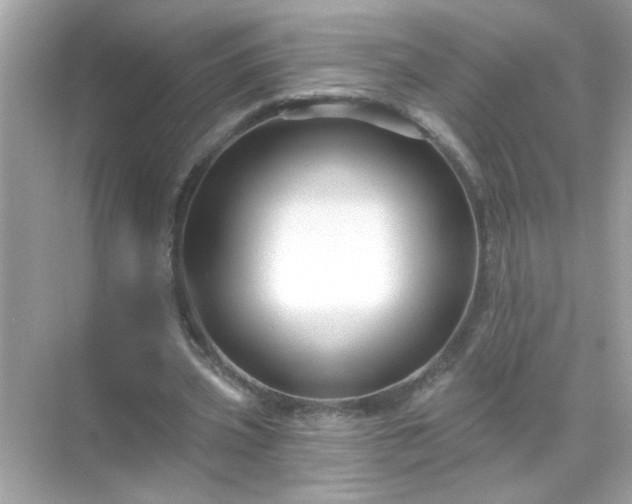 X0000071850533200607072304