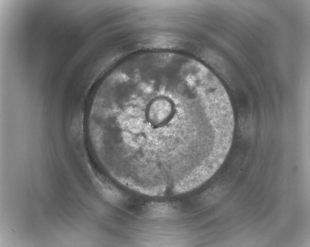 X0000071850534200607072304