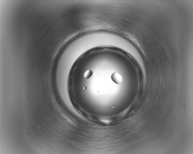 X0000071850535200607072304