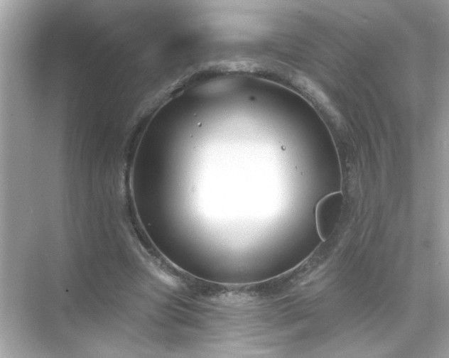 X0000071850537200607072304