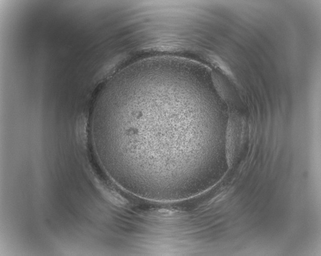 X0000071850542200607072304