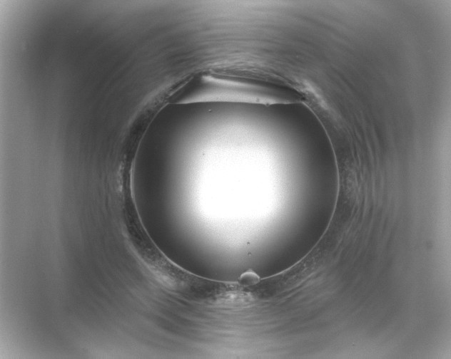 X0000071850543200607072304