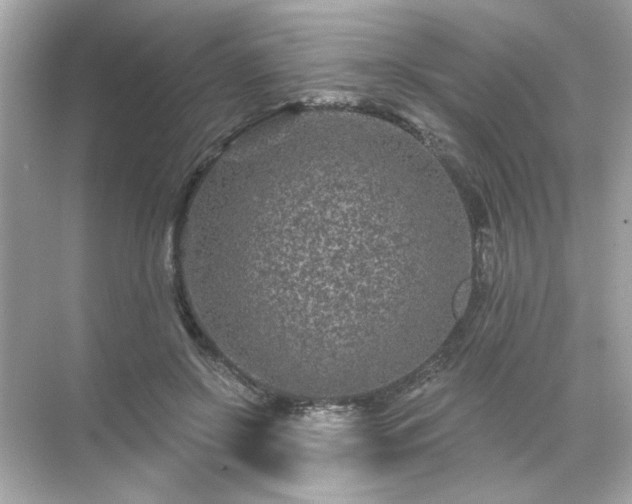 X0000071850550200607072304