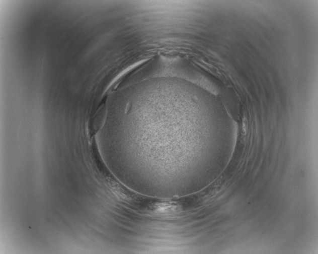 X0000071850555200607072304