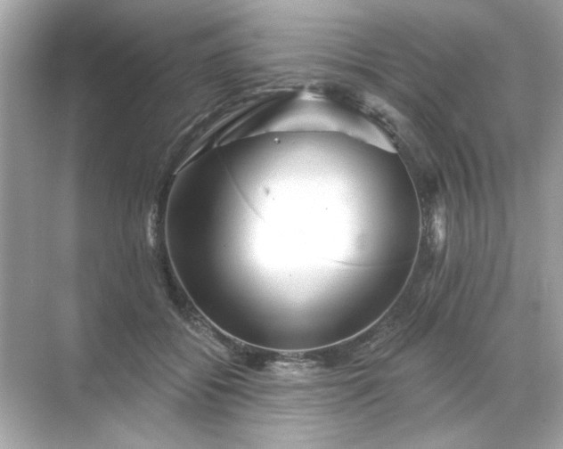 X0000071850556200607072304