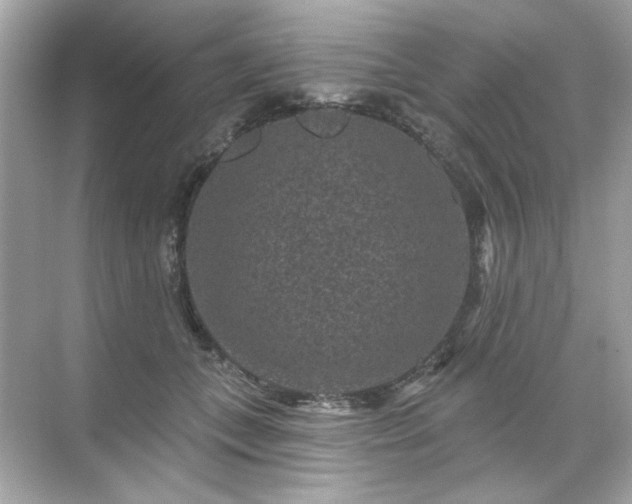 X0000071850559200607072304