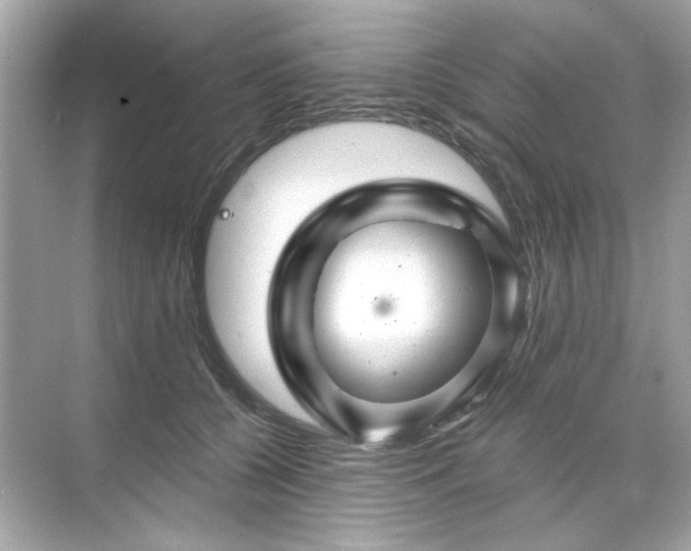 X0000071850560200607072304