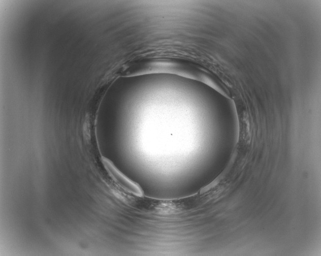 X0000071850562200607072304