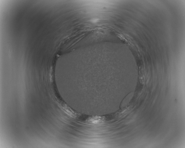 X0000071850563200607072304