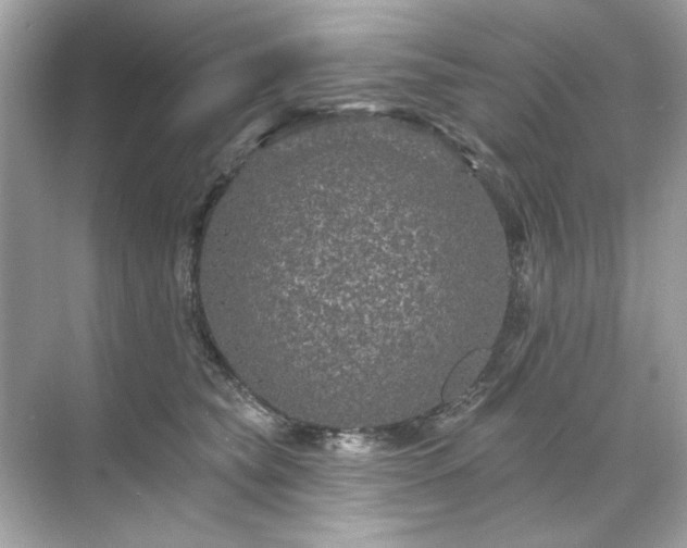 X0000071850565200607072304